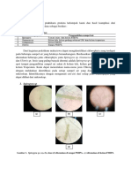 Artikel Laporan Protista Hasil Dan Pembahsan