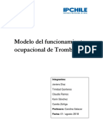 El Modelo Del Funcionamiento Ocupacional de Trombly 12