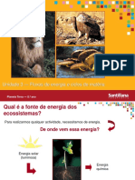 3-Fluxo de Energia e Ciclos de Matéria