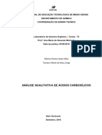  Relatório de Analise Qualitativa de Ácidos CarboxÍlicos