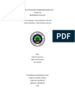 Laporan Praktikum Hidrometeorologi Nabil