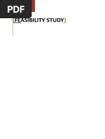 1 Feasibility Study