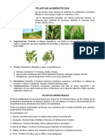 Plantas Alimenticias