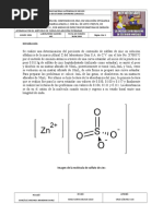 Informe-Absorcion Atomica