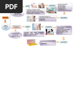 Esquema de Hemofilia