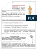 Sistema Nervioso Completo Primera Parte