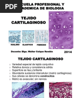 Tejido Cartilaginoso