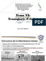 Tema VI Transporte Celular Villa PDF