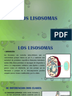 LISOSOMAS