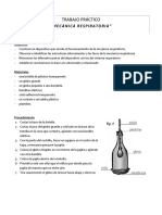 Trabajoo Practico Mecanica Respiratoria