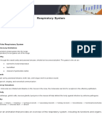 Respiratory System