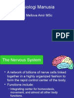 Fisiologi Manusia: DR Mellova Amir MSC