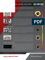 Wellbore Failure Portrait