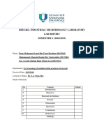 Lab Report 1