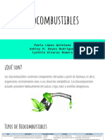 Bio Combustibles