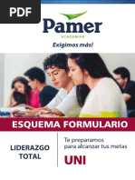 Esquema Formulario Pamer