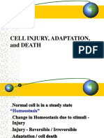 Cell Injury, Adaptation, and DEATH