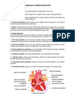 Cardiovascular PDF