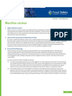 Bacillus Cereus Factsheet 2016 FINAL ACCESSIBLE