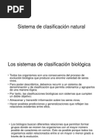 Sistema de Clasificación Natural