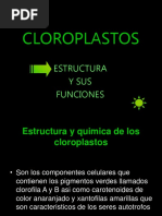 CLOROPLASTOS