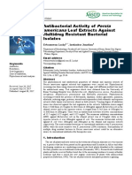 Persia Americana: Antibacterial Activity of Leaf Extracts Against Multidrug Resistant Bacterial Isolates