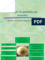 Avaliação Da Qualidade Das Sementes