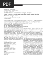 Identification and Localization of Estrogen Receptor A-And B-Positive Cells in Adult Male and Female Mouse Intestine at Various Estrogen Levels