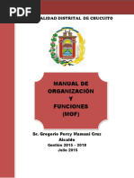 Manual de Organizaciones y Funciones - MOF - Distrito de Chucuito