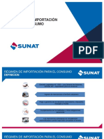 El Proceso de Importacion PDF