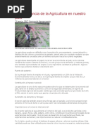 La Importancia de La Agricultura en Nuestro País