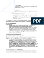 Tema 4 Aparato Circulatorio y Excretor