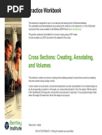 Cross Sections Creating Annotating and Volumes Practice Workbook