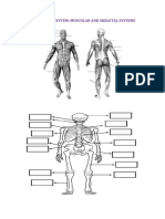 Unit 1science - The Human Body