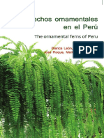 Helechos Ornamentales Del Peru