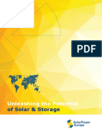 SOLAR POWER Unleashing The Potential of Solar & Storage. Mini-report-FINAL