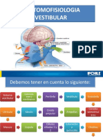 04 02 Anatomofisiología Vestibular