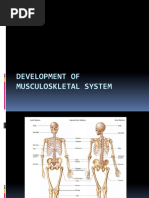 Embryology Muscularskeletal System