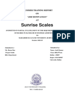 Sunrise Scales: Summer Training Report ON "Job Motivation" AT