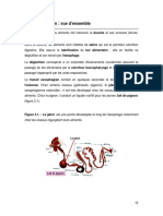 Phys Digest 3 PDF