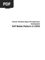 SMP Tutorial Windows Object API Application Development