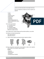 2008 11 14 11 18 28 390 - Testes - Avaliacao