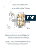 La Articulación Del Codo Presenta Una Estructura Compleja