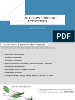 Energy Flow Through Ecosystems