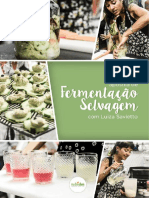 Fermentação Selvagem Dra. Luiza Savietto PDF