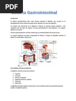 Sistema Gastrointestinal