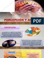 Percepción y Agnosias