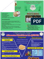 Diptico de La Quinua (1) Modificado