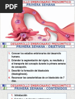 A 1ra Sem Presomitico. - Arteaga M. Modif.