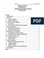 Informe Proyecto Exportación - Bolivia